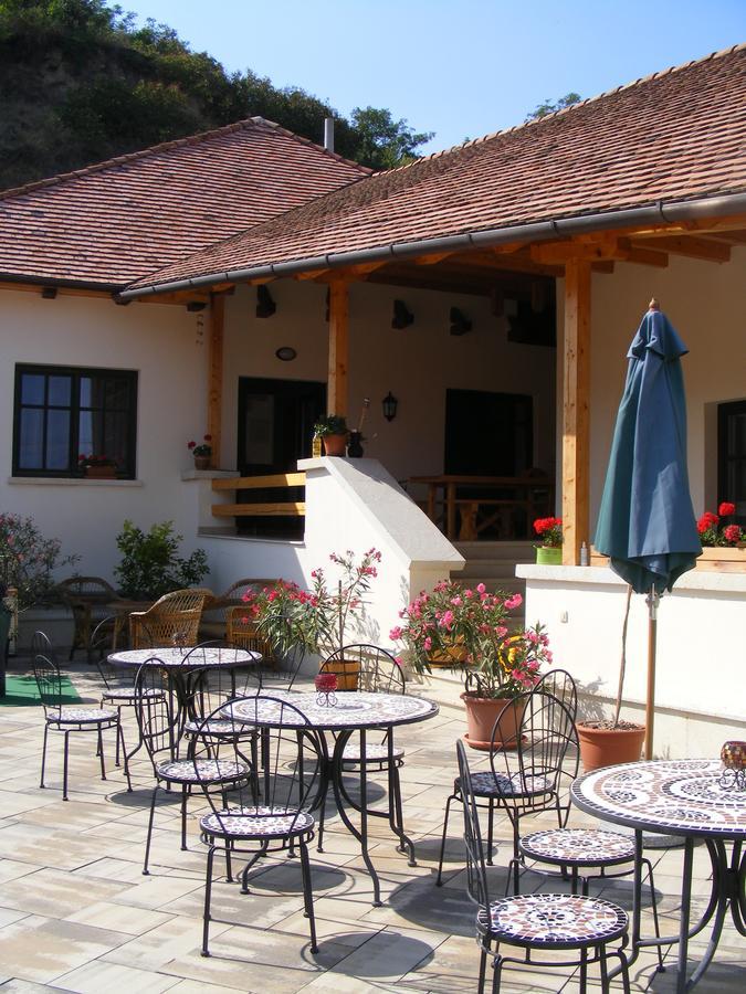 Erzsebet Pince Διαμέρισμα Tokaj Εξωτερικό φωτογραφία
